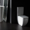 Унитаз напольный LAUFEN PALOMBA COLLECTION выпуск VARIO c LLC 8.2480.6.400.000.1